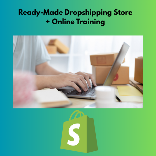 Ready-Made Dropshipping Store + Online Training via Microsoft Teams